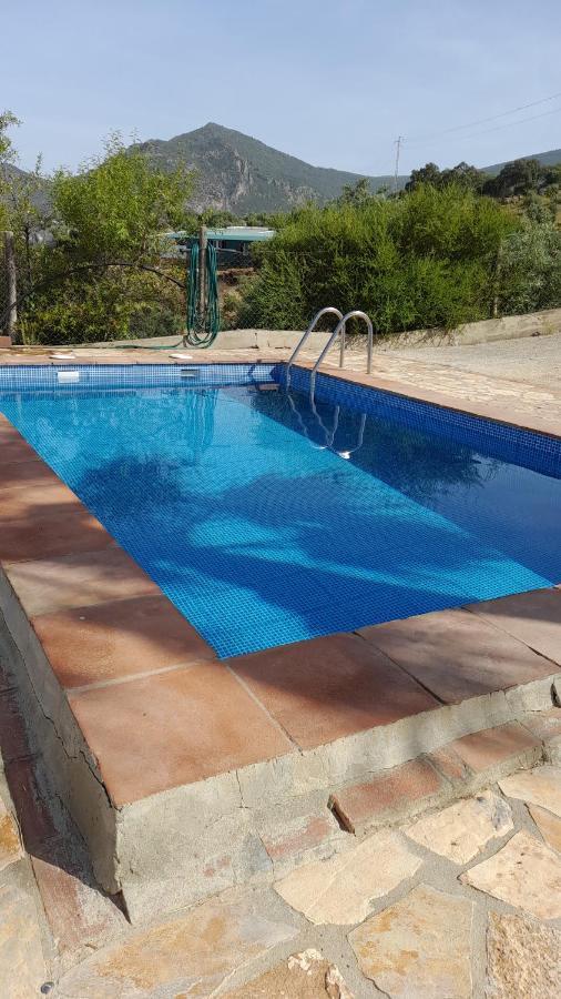 Las Palmeras - Ein Stueck Vom Paradies - Behagliches Haus Mit Pool Algodonales Eksteriør bilde